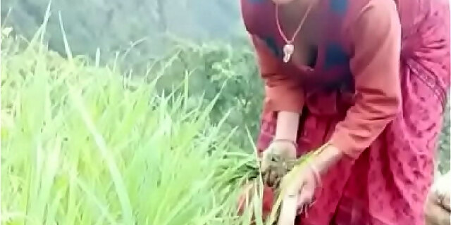 boobs,indian,perfect,sex,sexy,